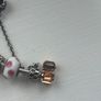 Pandora Silver Womens Bracelet with 13 charms Image 6
