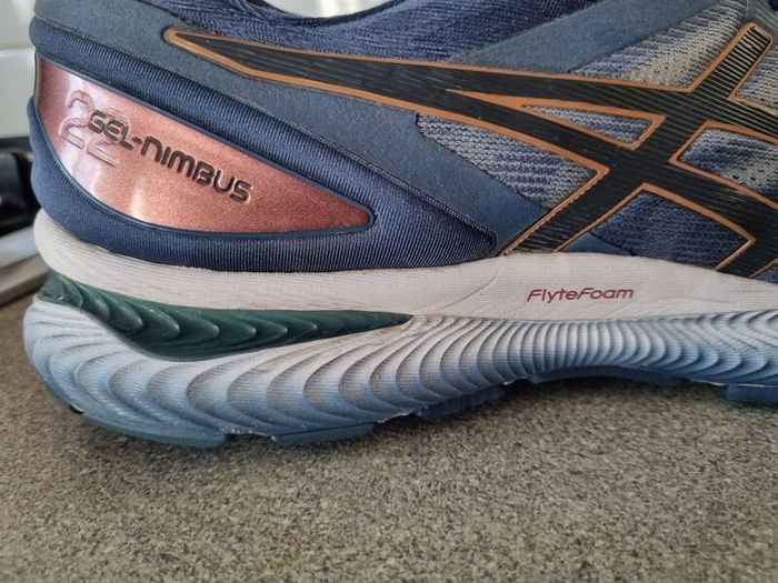 Asics gel nimbus  runners