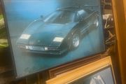 large picture
