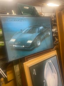 large picture