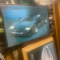 large picture