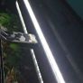aquarium light aquasky fluval Image 6