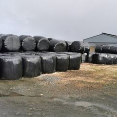 Silage bales