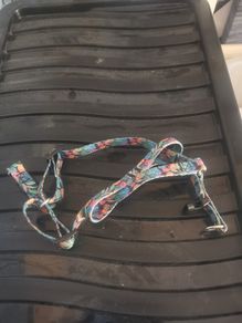 Small dog harness