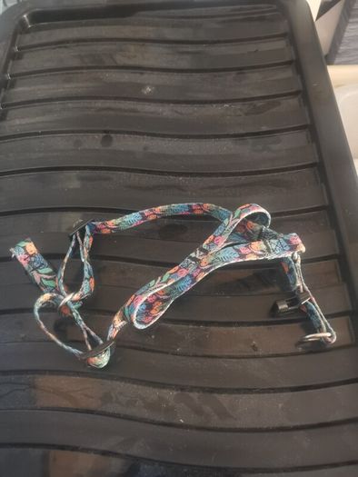 Small dog harness