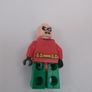 100% Lego Robin Image 2