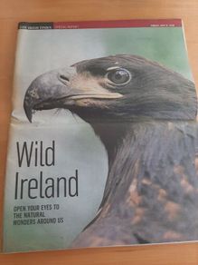 'Wild Ireland' 2010 report