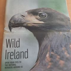 'Wild Ireland' 2010 report