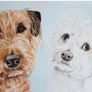Watercolour pet portraits Image 6