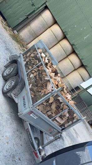 Timber For Sale