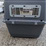 AniOne dog transport L Image 3
