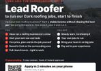 Lead Roofer Cork own van, has run jobs or a crew