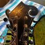 Northfield mandolin NF-F5S Image 5