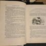The Mysteries of Paris (1845) - Complete 3-Volume First English Edition - Very Fine Pages! Image 4