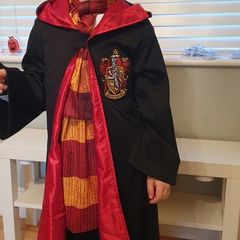 halloween costume