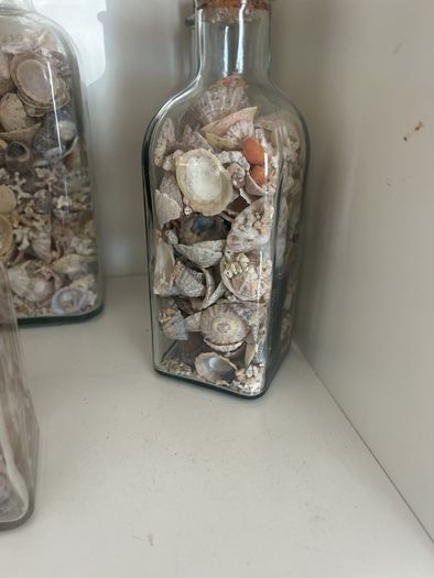 Sea shells in bottles