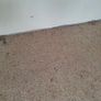 Carpet Image 2