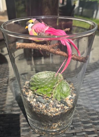 for indoor and outdoor use