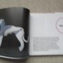 Best in Show, Knitting patterns,Hardback book, New,Craft book, Knitting patterns Image 4