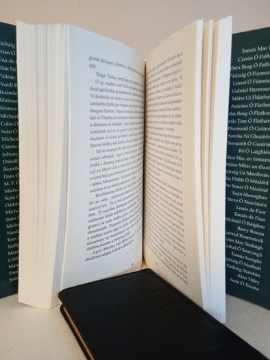 Slainte: Deich mbliana de Chlo Iar-Chonnachta (Irish Edition) by Micheal O'Conghaile (Signed by the Authors) (CP112)