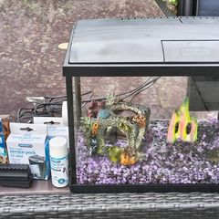 Fish tank and accessories