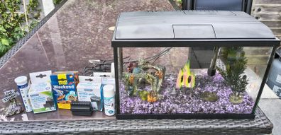 Fish tank and accessories