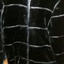 Black Fun Fur Winter Coat Image 4