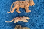 Zoo animals