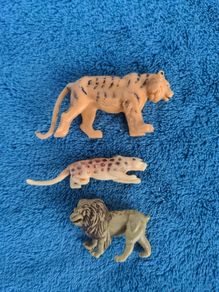 Zoo animals