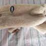 dog jacket Image 2
