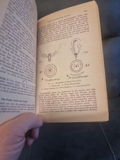 Teach Yourself  Botany