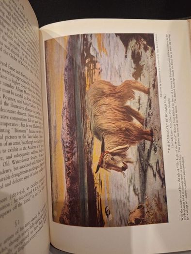 SALE!  THE OUTLINE OF ART edited by Sir William Orpen revised by Horace Shipp