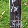 Harley Benton Acoustic Image 2