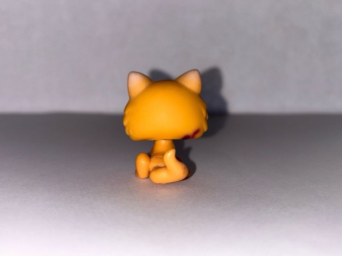 littlest pet shop (LPS) Kitten bundle!