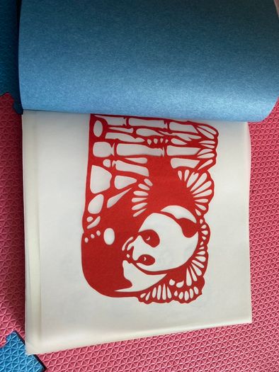 Story of Giant Panda a book full of facts and pictures