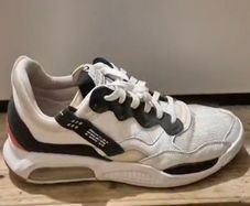 trainers