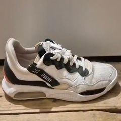 trainers