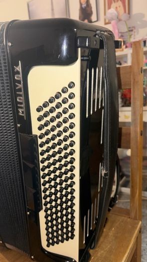 accordion excelsior
