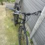 Ladies Bicycle Image 2