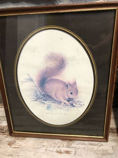 vintage picture