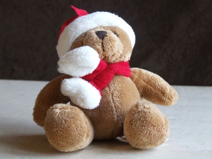 Hanging Christmas Teddy