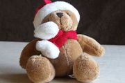 Hanging Christmas Teddy