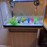 Aqua One Aquarium 75 litre with Cabinet, Heater, Light & Filter Image 4