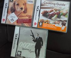 Nintendo Ds Games