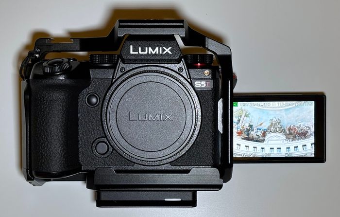 Panasonic LUMIX S5II with Smallrig cage and handle