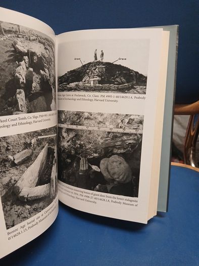 The Quest for the Irish Celt - Mairead Carew