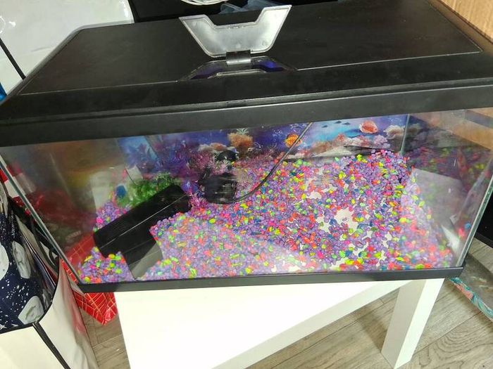 fish tank