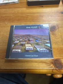 Pink Floyd - A Momentary Lapse Of Reason