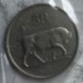 Irish 5p 1982 Image 2