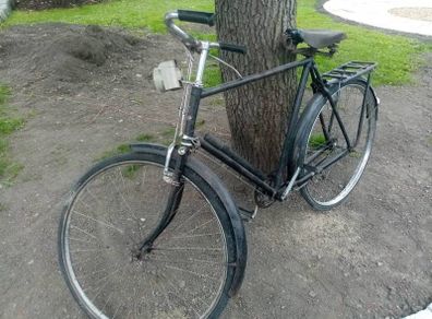 high nelly bike